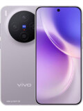 Vivo X300